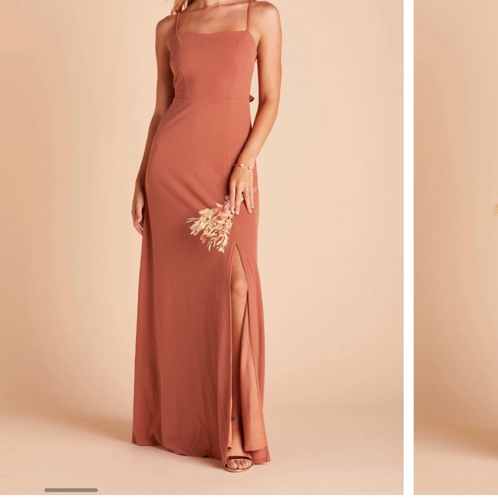 Birdy Grey Benny Crepe Dress Terracotta XS (Altered)